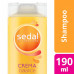 SEDAL SH. x190ml. CREME